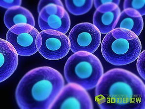 生物3D打印热潮 Nano Dimension跨界布局生物技术新赛道