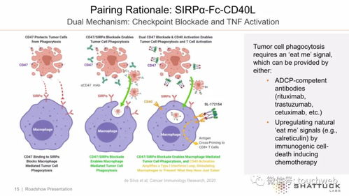 生物技术公司Shattuck上市首日大涨14%，市值突破7亿美元