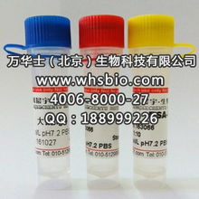 豚鼠igg冻干粉 从生物试剂到信息技术领域的创新应用